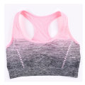 colorful Sports Bra High Stretch Breathable Fitness Women Padded for Running Yoga Gym Seamless